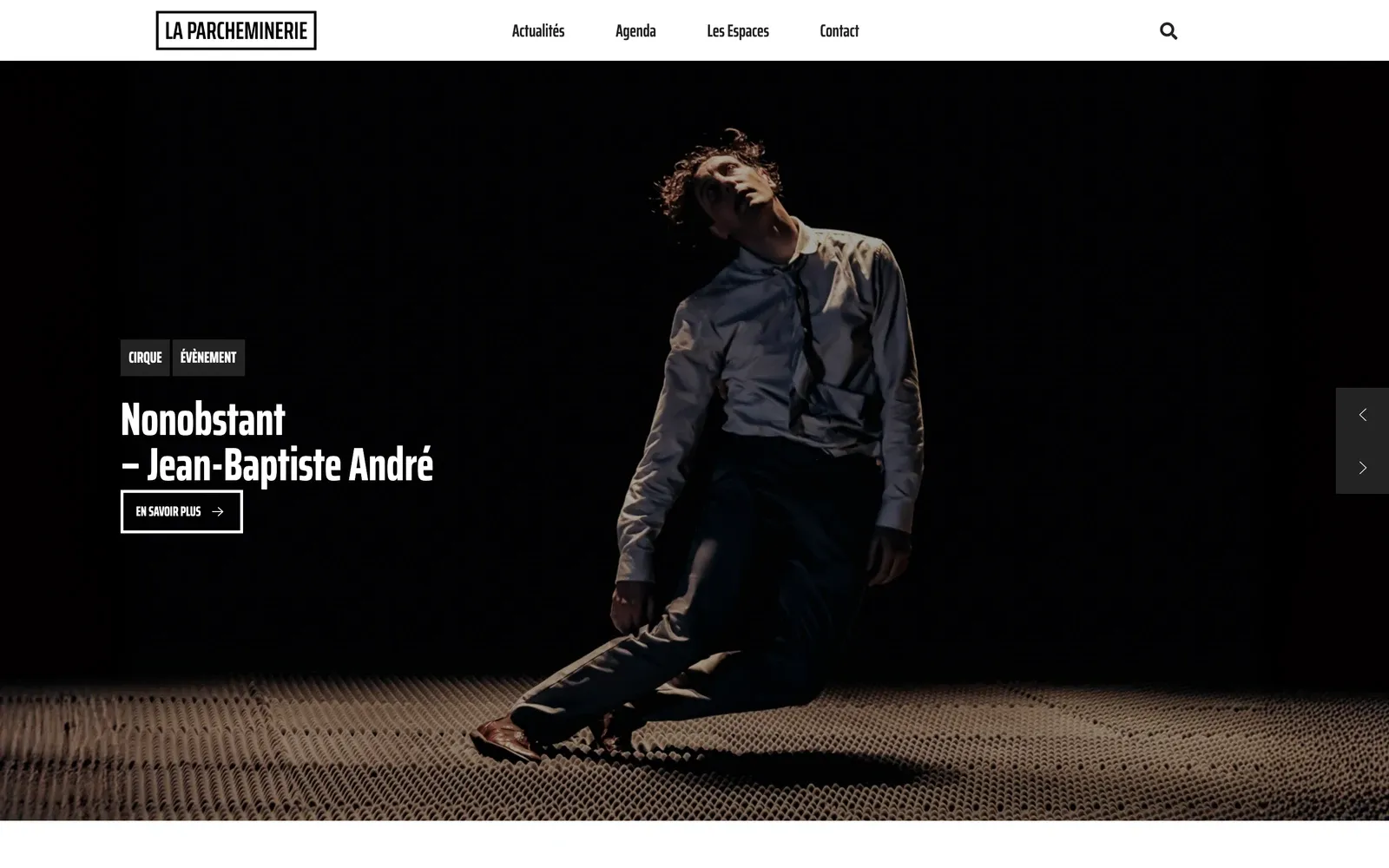 Page d'accueil du site La Parcheminerie